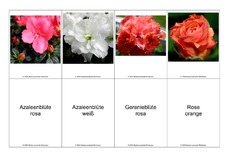 Blumen-Memo-Aufdeckspiel-14.pdf